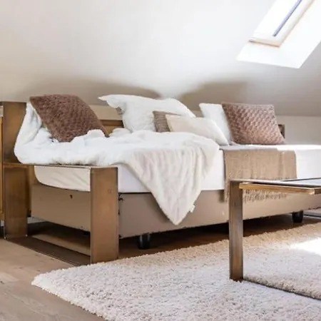 Octelle - - 3* Ellezelles
