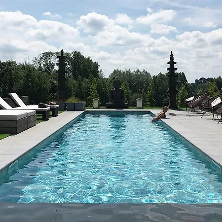 Bed & Breakfast Octelle - - Ellezelles