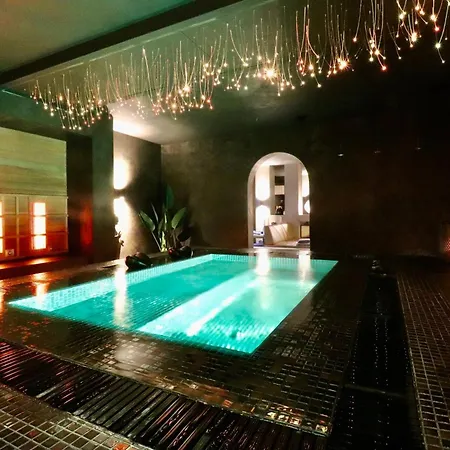 Octelle - - Bed & Breakfast Ellezelles